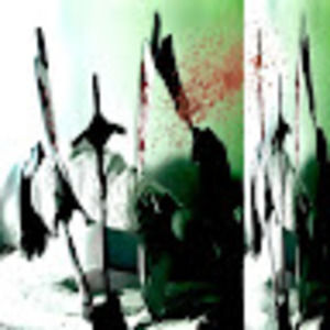 Meet your Posher, Jaden